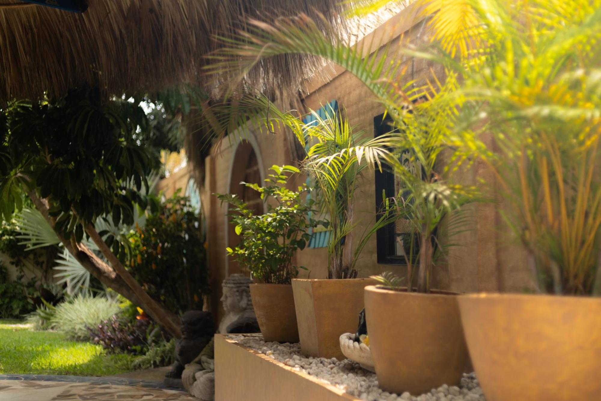 Hotel Boutique Casa Copal 3*